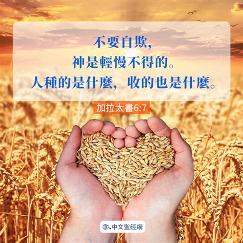 種什麼收什麼|加拉太書 6:6